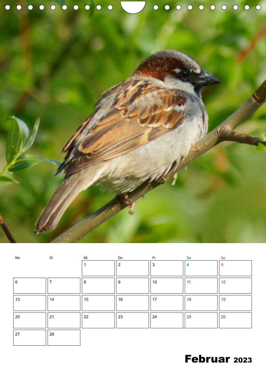 Heimische Singvögel (Wandkalender 2023 DIN A4 hoch)