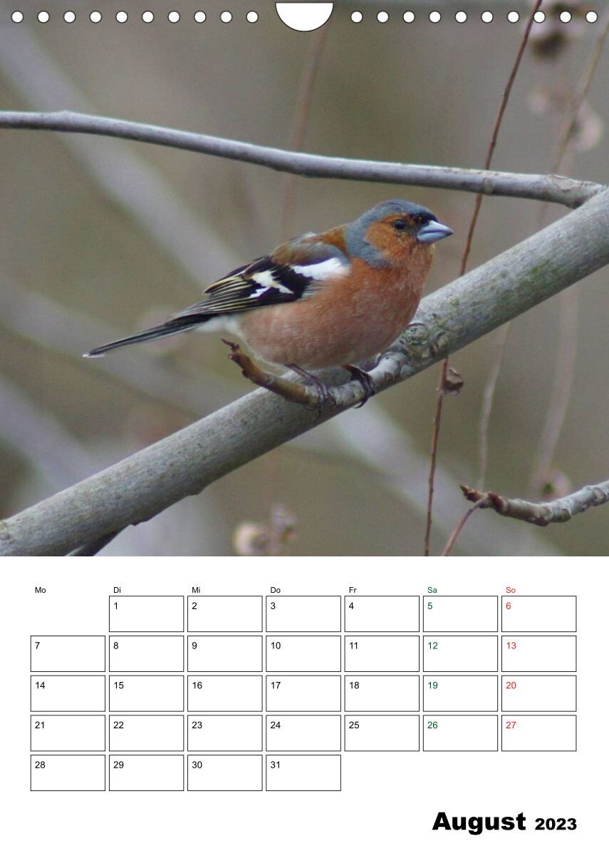 Heimische Singvögel (Wandkalender 2023 DIN A4 hoch)