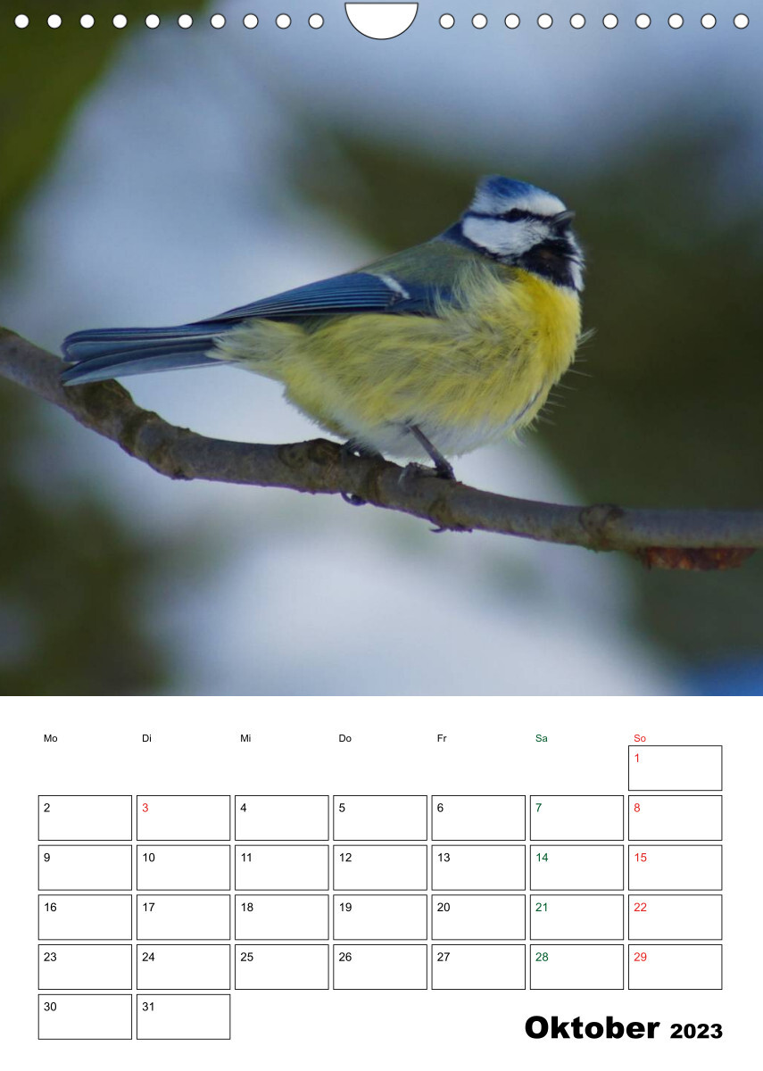 Heimische Singvögel (Wandkalender 2023 DIN A4 hoch)