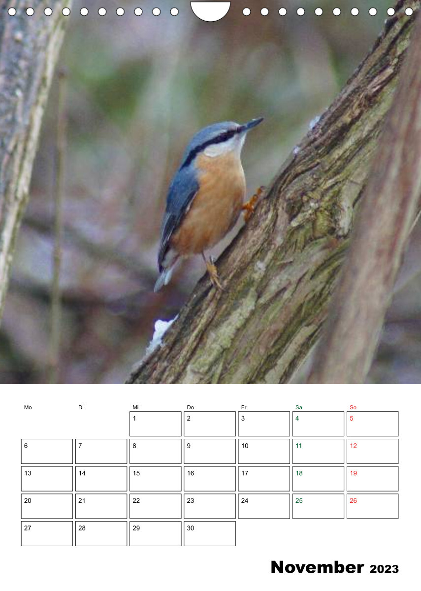 Heimische Singvögel (Wandkalender 2023 DIN A4 hoch)