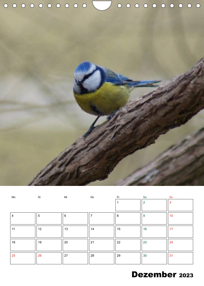 Heimische Singvögel (Wandkalender 2023 DIN A4 hoch)