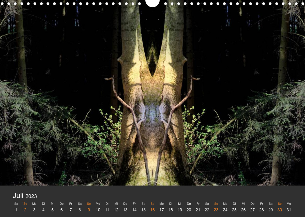 Spiegelwelten - Im Reich der Naturwesen (Wandkalender 2023 DIN A3 quer)