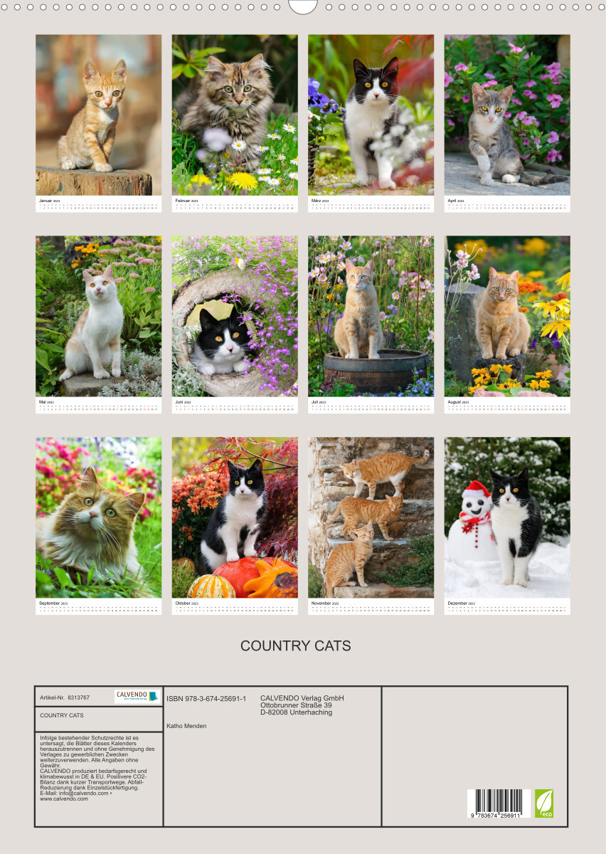 COUNTRY CATS (Wandkalender 2023 DIN A2 hoch)
