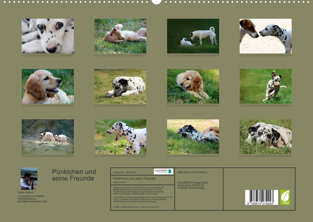 Pünktchen und seine Freunde (Premium, hochwertiger DIN A2 Wandkalender 2023, Kunstdruck in Hochglanz)