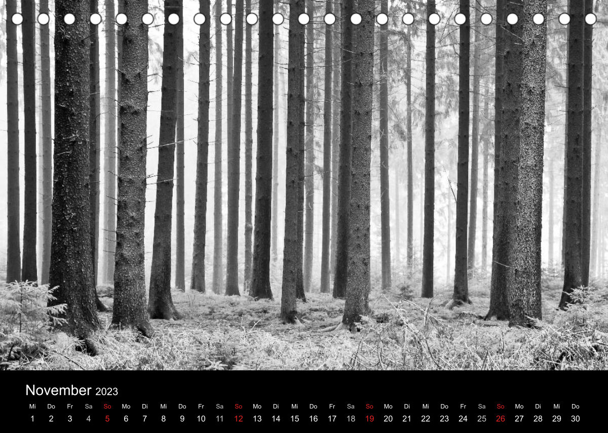 Wald und Bäume (Tischkalender 2023 DIN A5 quer)