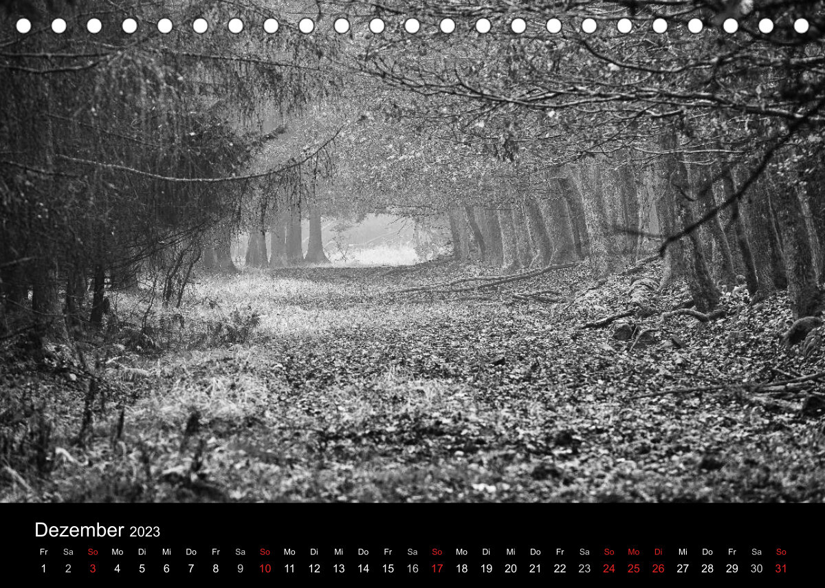Wald und Bäume (Tischkalender 2023 DIN A5 quer)