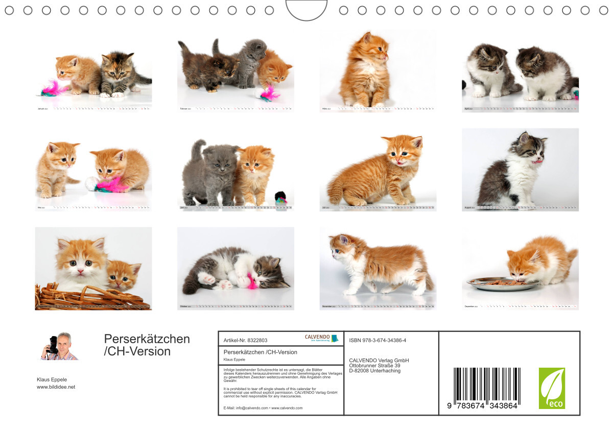 Perserkätzchen / CH-Version (Wandkalender 2023 DIN A4 quer)