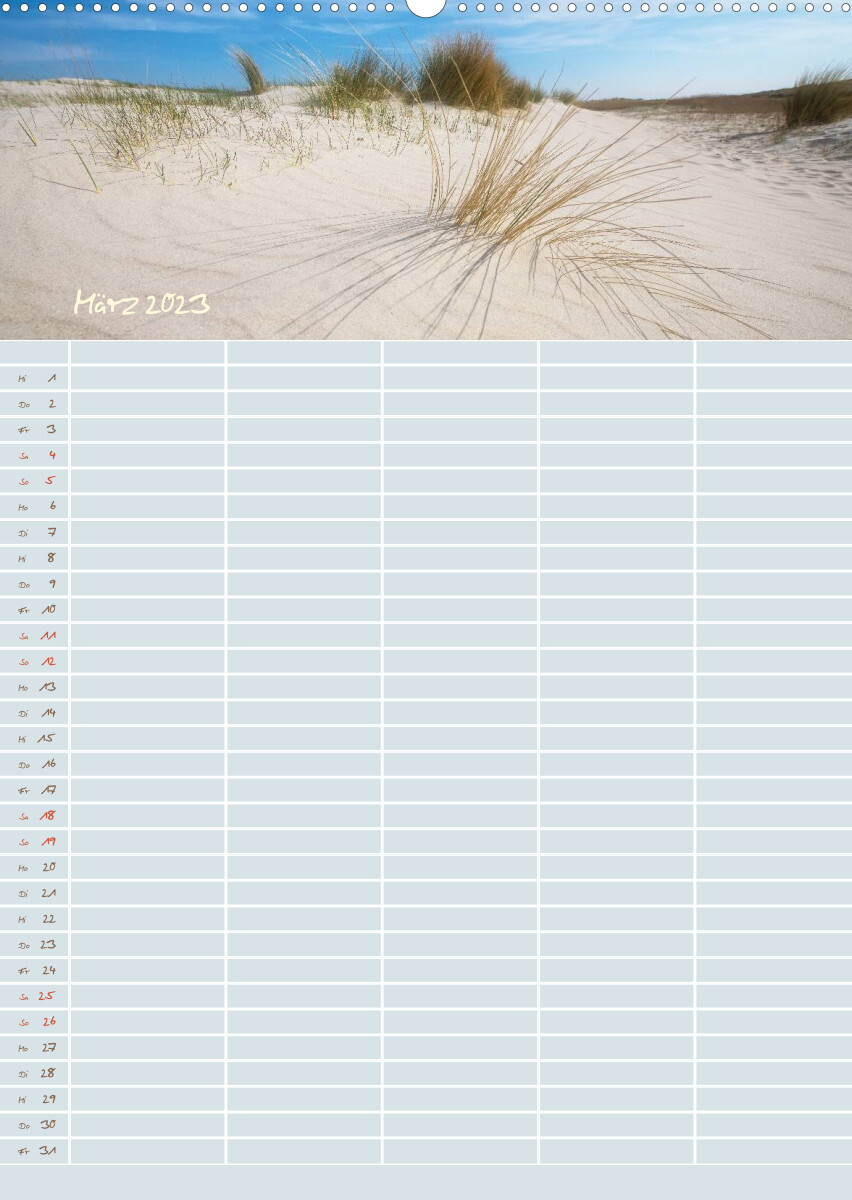 Kleine Sand-Schönheiten / Familienplaner (Premium, hochwertiger DIN A2 Wandkalender 2023, Kunstdruck in Hochglanz)