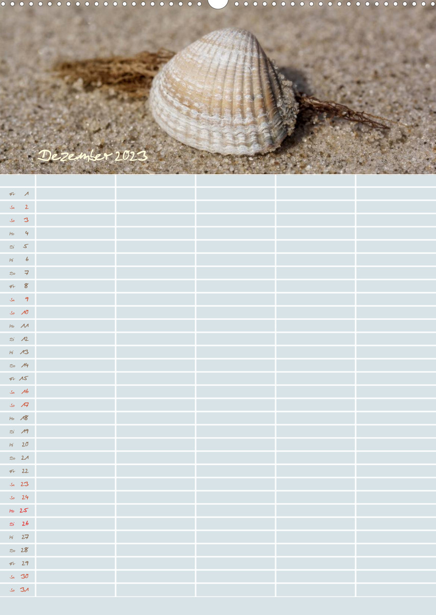 Kleine Sand-Schönheiten / Familienplaner (Premium, hochwertiger DIN A2 Wandkalender 2023, Kunstdruck in Hochglanz)