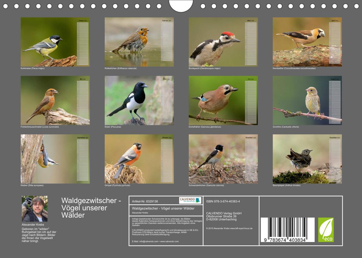 Waldgezwitscher - Vögel unserer Wälder (Wandkalender 2023 DIN A4 quer)