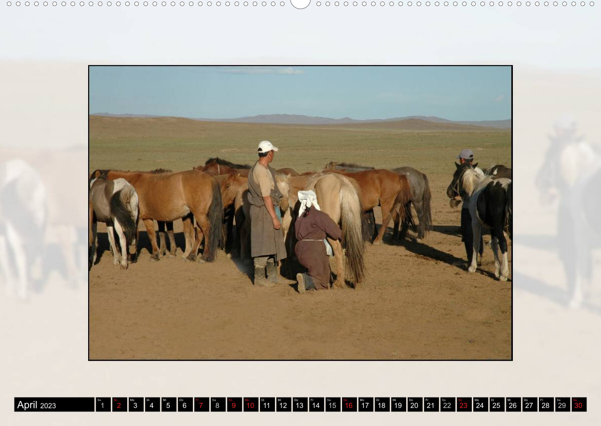 Pferdeland Mongolei (Premium, hochwertiger DIN A2 Wandkalender 2023, Kunstdruck in Hochglanz)