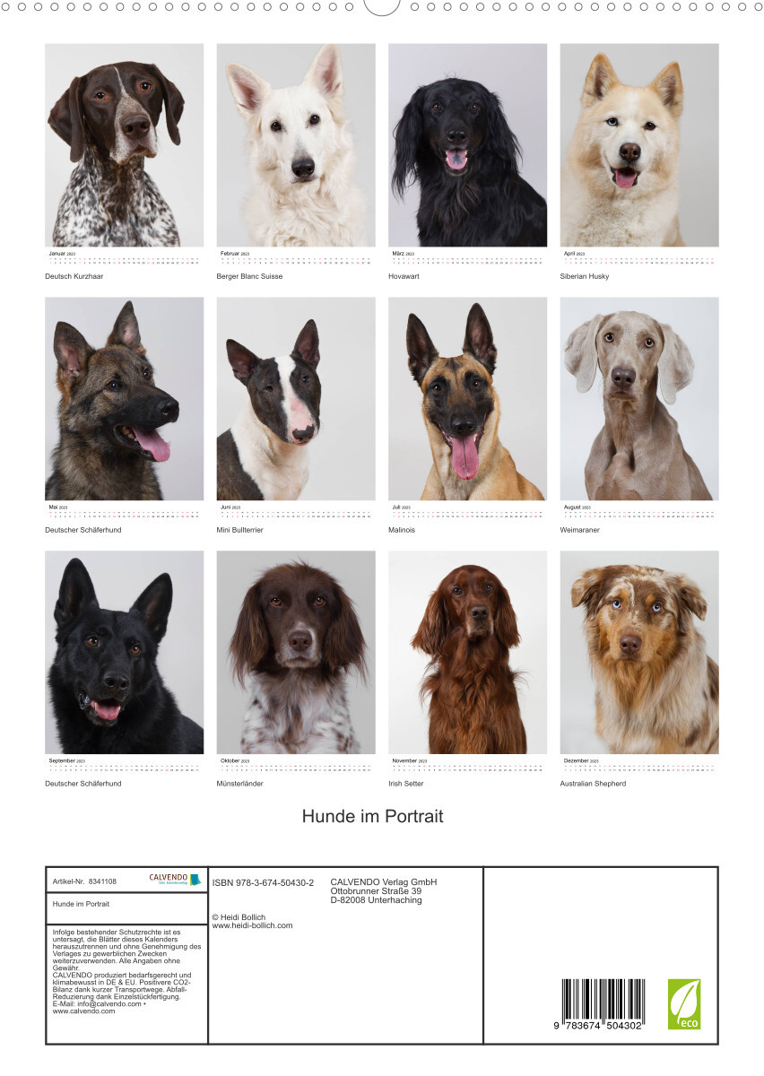 Hunde im Portrait (Premium, hochwertiger DIN A2 Wandkalender 2023, Kunstdruck in Hochglanz)