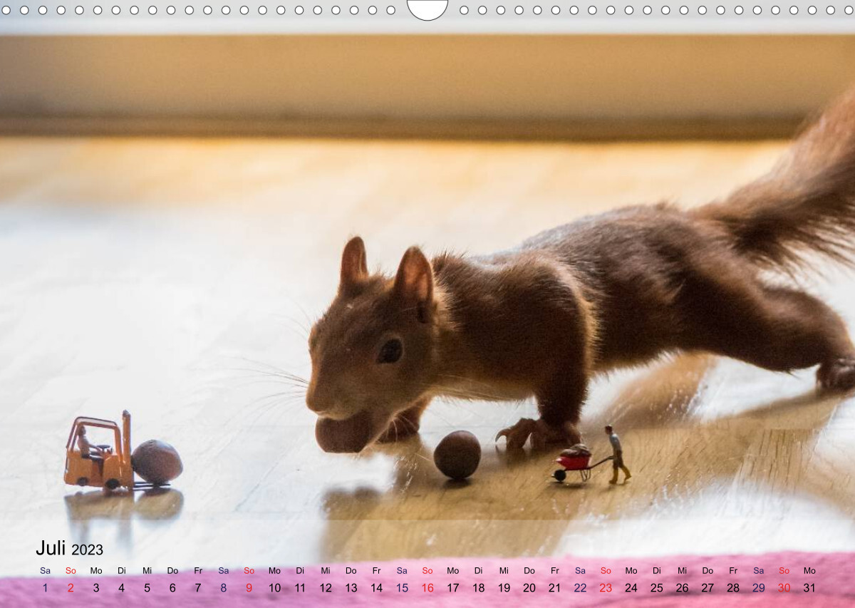 Spaß mit Eichhörnchen! (Wandkalender 2023 DIN A3 quer)