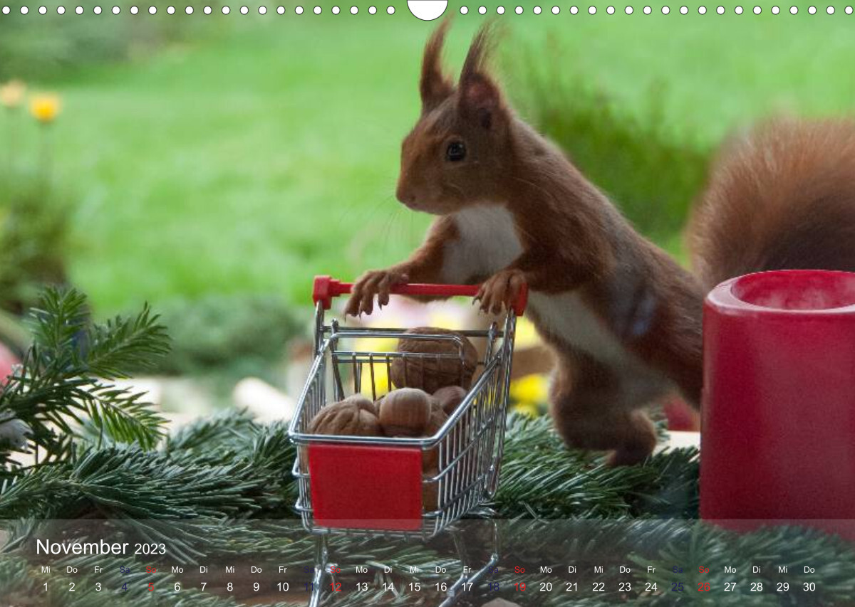 Spaß mit Eichhörnchen! (Wandkalender 2023 DIN A3 quer)