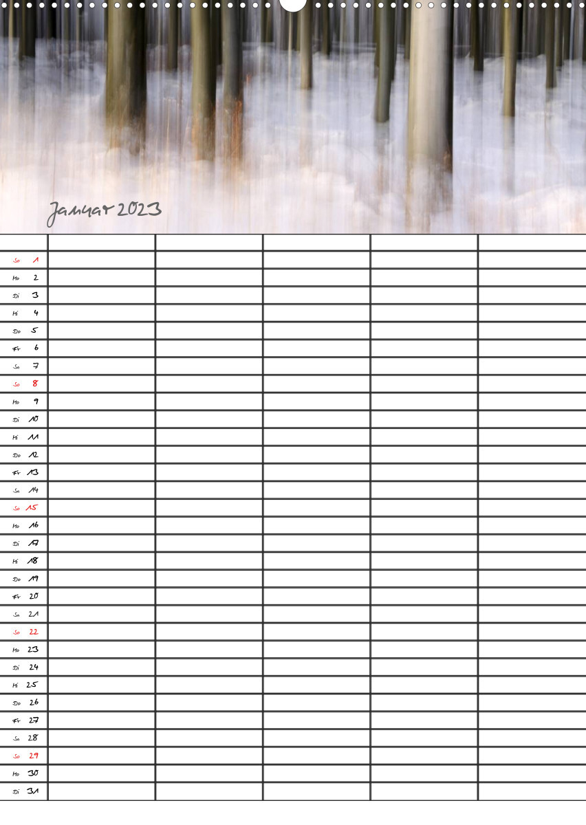 Mein Buchenwald - Familienplaner (Wandkalender 2023 DIN A2 hoch)