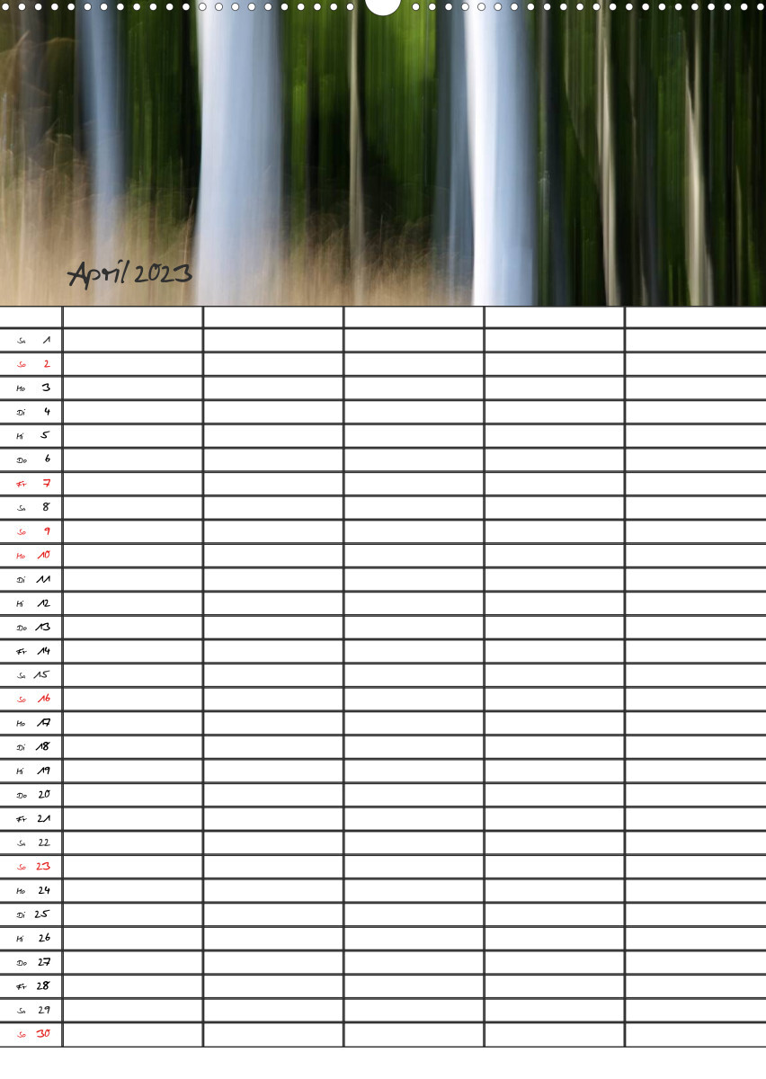 Mein Buchenwald - Familienplaner (Wandkalender 2023 DIN A2 hoch)