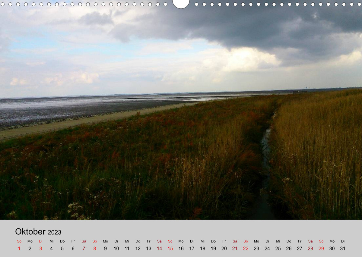 Blicke hinaus aufs Meer (Wandkalender 2023 DIN A3 quer)