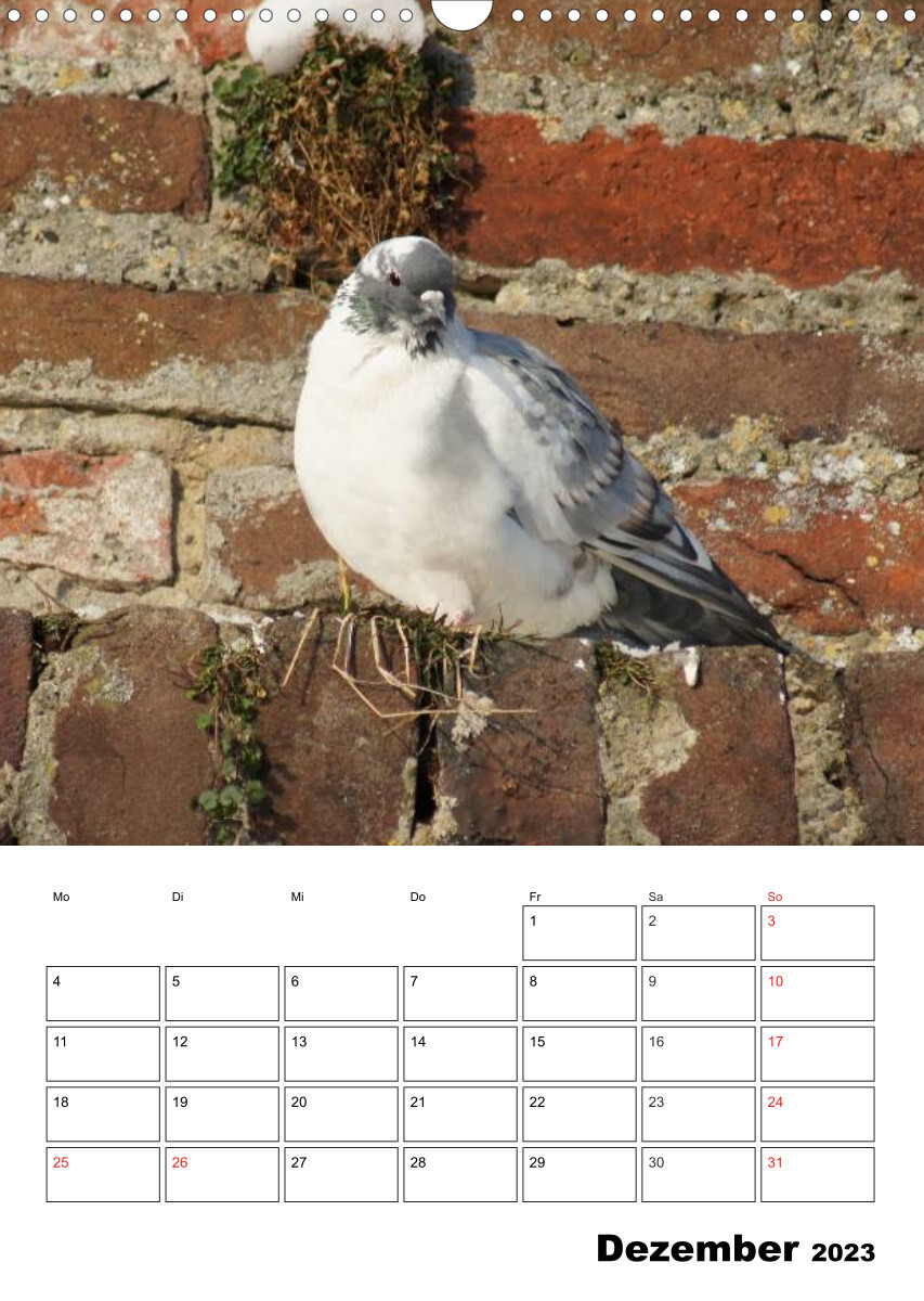 Tauben Terminplaner (Wandkalender 2023 DIN A3 hoch)