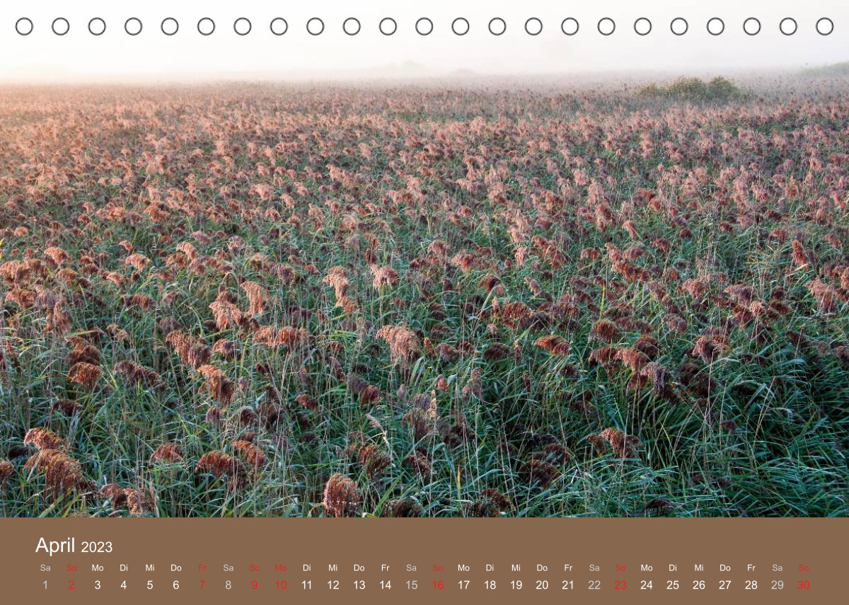 Der Federsee - Vogelparadies in Oberschwaben (Tischkalender 2023 DIN A5 quer)