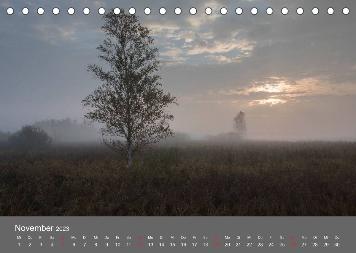 Der Federsee - Vogelparadies in Oberschwaben (Tischkalender 2023 DIN A5 quer)