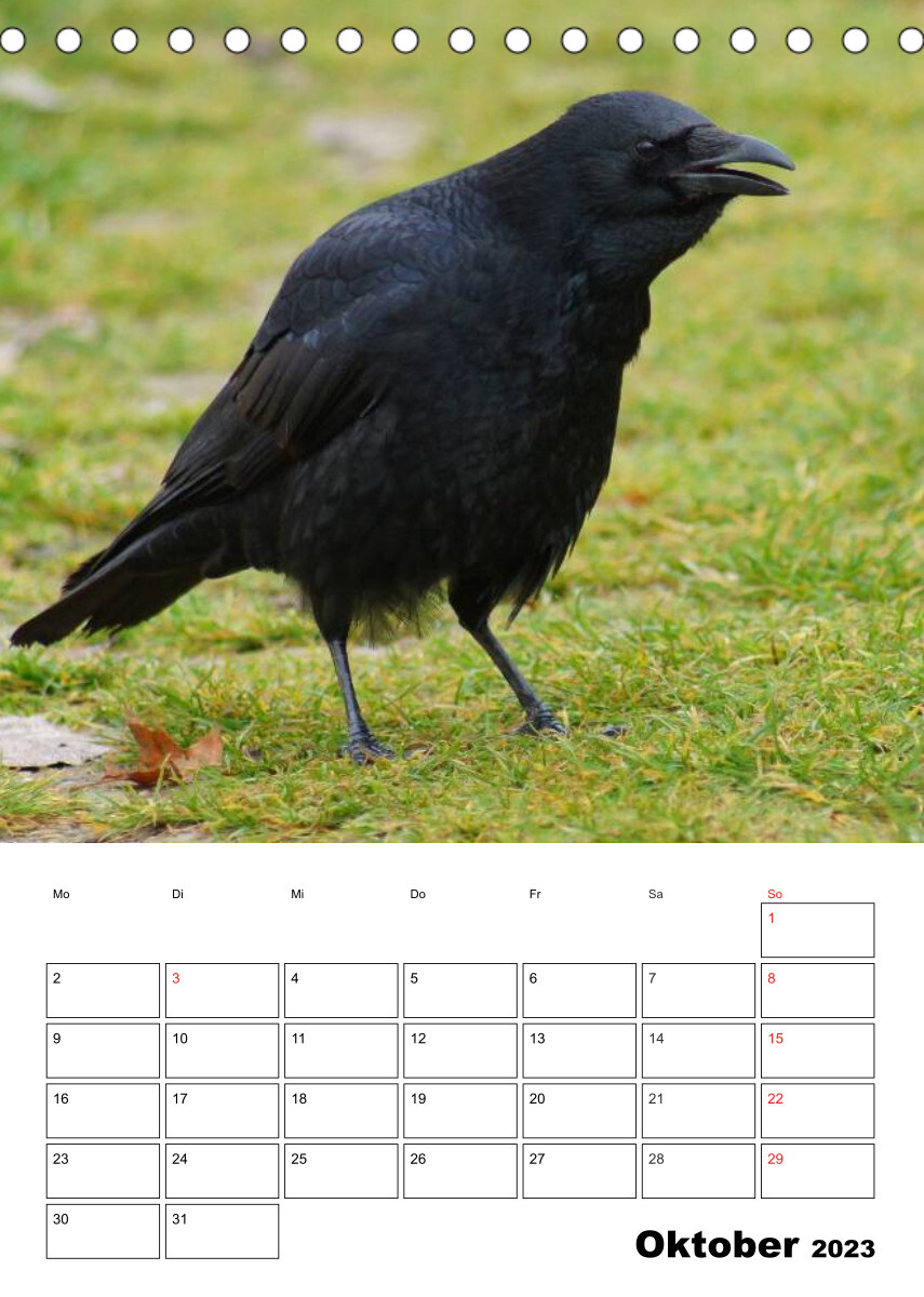 Rabenvögel Terminplaner (Tischkalender 2023 DIN A5 hoch)