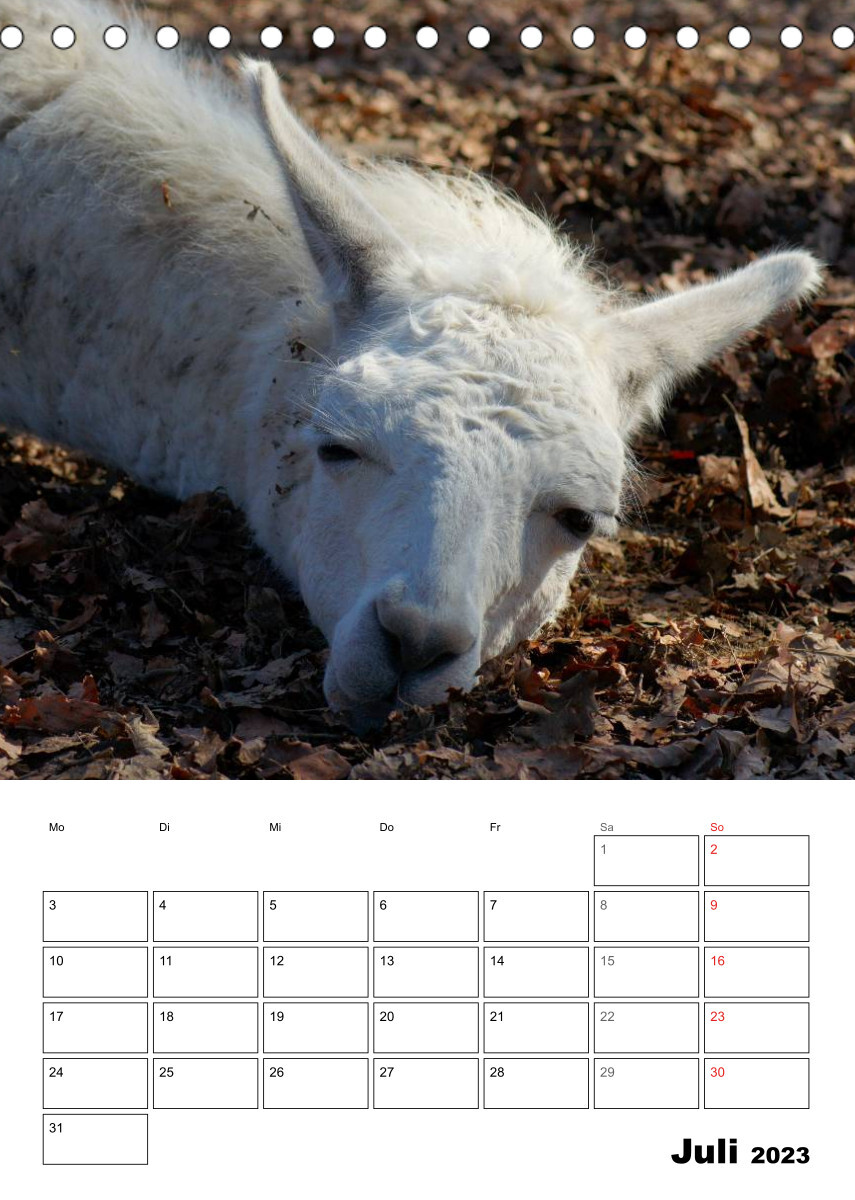 Alpaka und Lama Terminplaner (Tischkalender 2023 DIN A5 hoch)