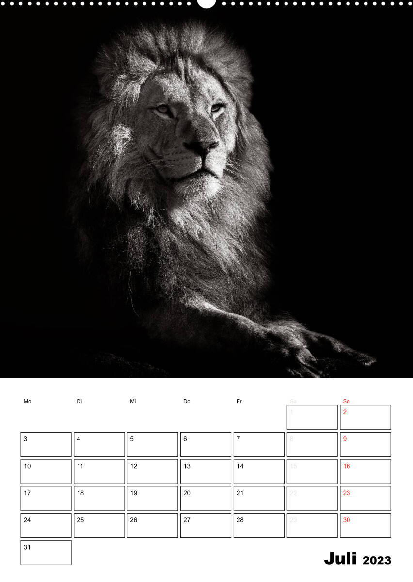 Charakterköpfe aus der Welt der Tiere (Premium, hochwertiger DIN A2 Wandkalender 2023, Kunstdruck in Hochglanz)