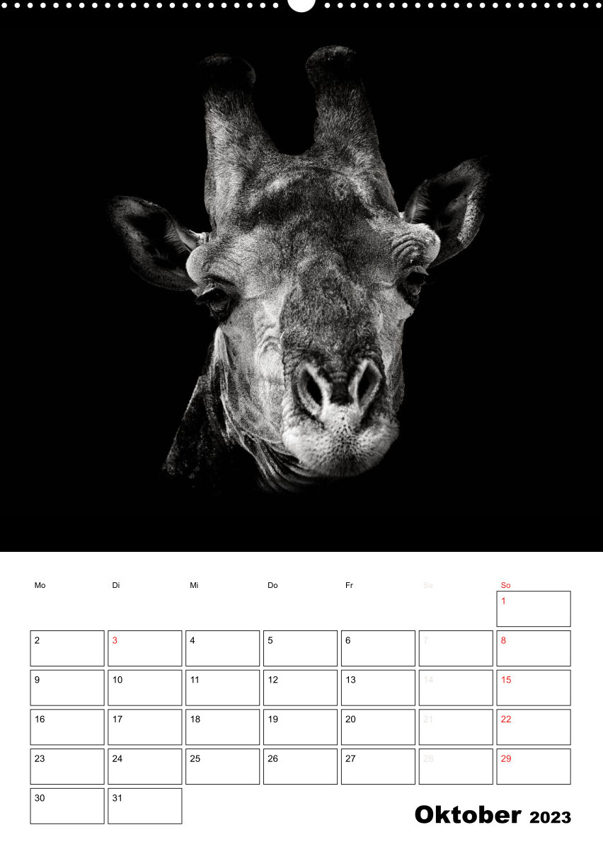 Charakterköpfe aus der Welt der Tiere (Premium, hochwertiger DIN A2 Wandkalender 2023, Kunstdruck in Hochglanz)