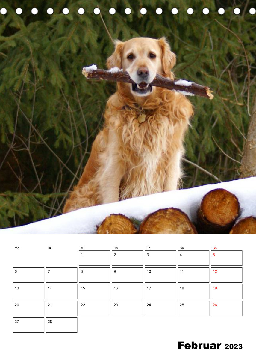 Glücklicher Golden Retriever (Tischkalender 2023 DIN A5 hoch)