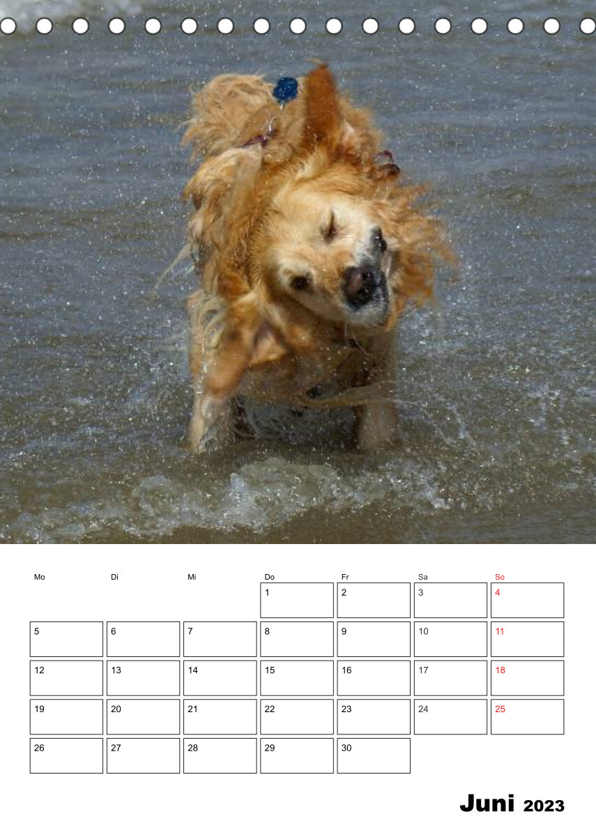 Glücklicher Golden Retriever (Tischkalender 2023 DIN A5 hoch)