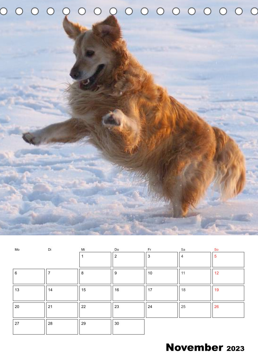 Glücklicher Golden Retriever (Tischkalender 2023 DIN A5 hoch)