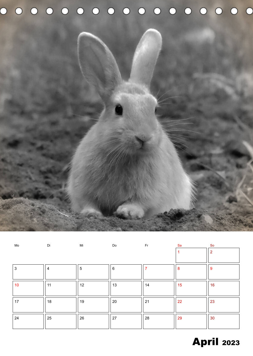 Bauernhoftiere ganz nah - Nostalgie Edition (Tischkalender 2023 DIN A5 hoch)