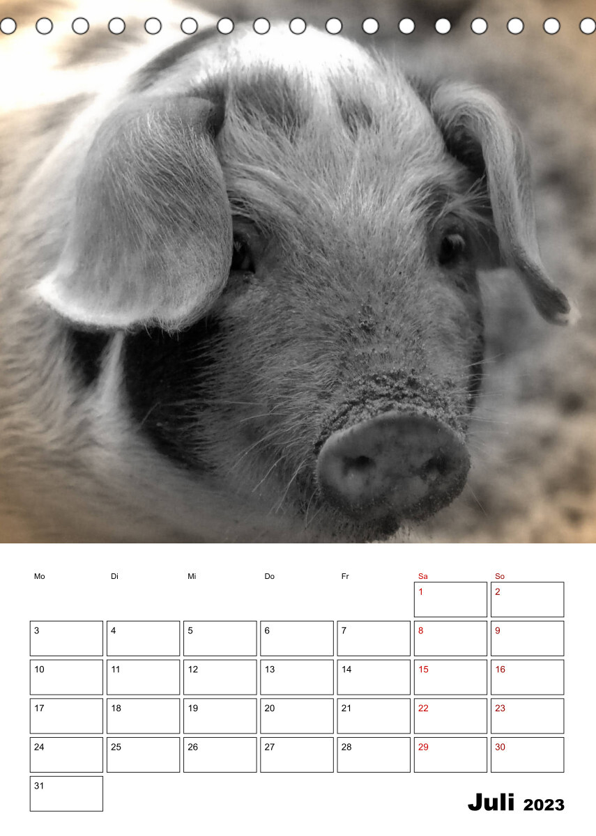 Bauernhoftiere ganz nah - Nostalgie Edition (Tischkalender 2023 DIN A5 hoch)