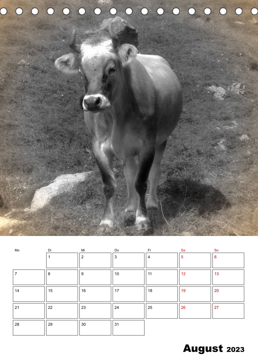 Bauernhoftiere ganz nah - Nostalgie Edition (Tischkalender 2023 DIN A5 hoch)