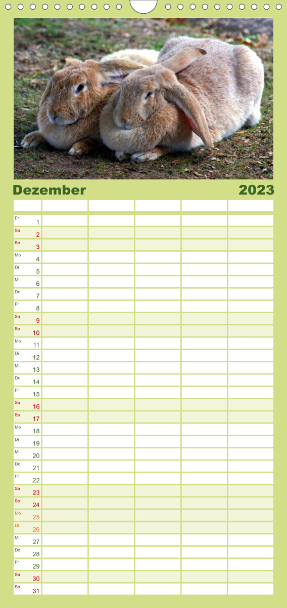 Familienplaner Tiere auf dem Bauernhof (Wandkalender 2023 , 21 cm x 45 cm, hoch)