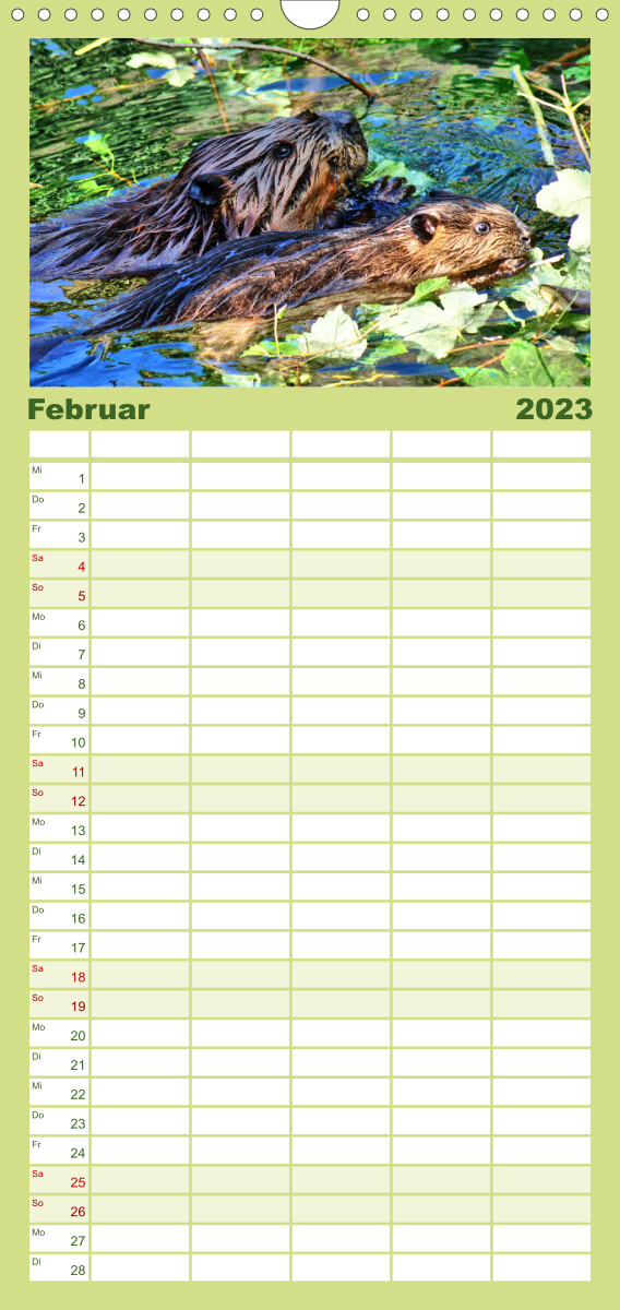 Familienplaner Das Leben der Biber (Wandkalender 2023 , 21 cm x 45 cm, hoch)