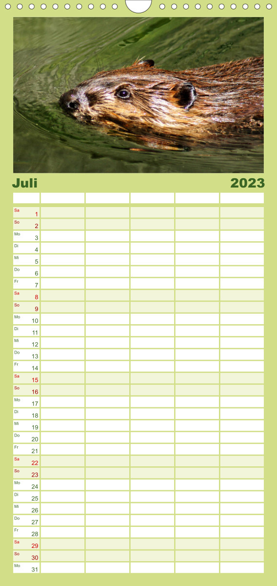 Familienplaner Das Leben der Biber (Wandkalender 2023 , 21 cm x 45 cm, hoch)