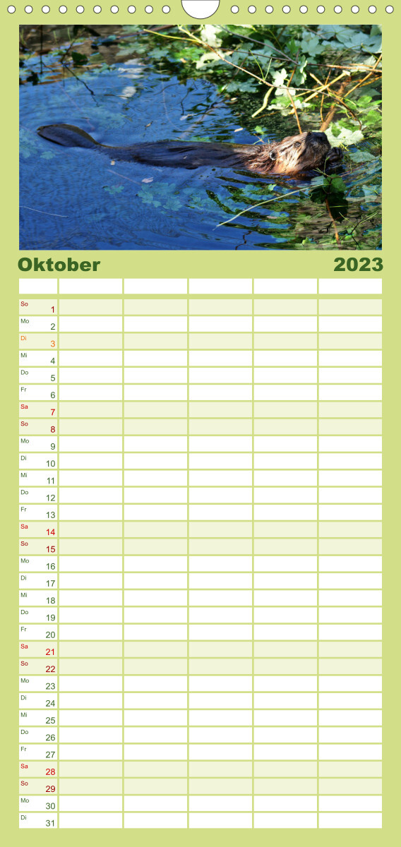 Familienplaner Das Leben der Biber (Wandkalender 2023 , 21 cm x 45 cm, hoch)
