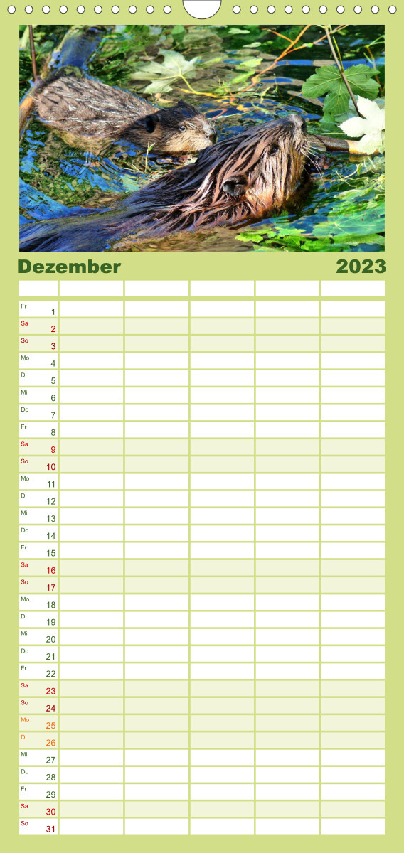 Familienplaner Das Leben der Biber (Wandkalender 2023 , 21 cm x 45 cm, hoch)