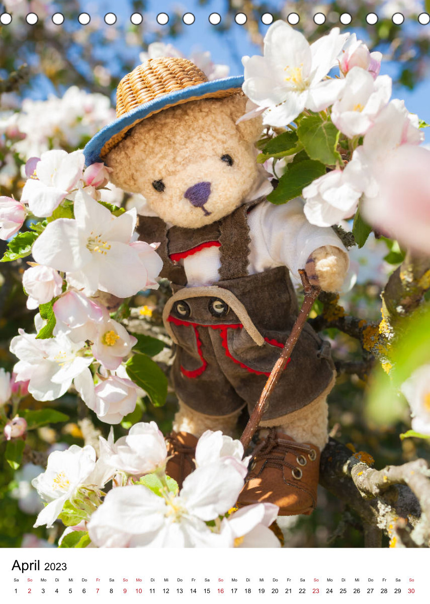 Teddybären Abenteuer - Zu Hause und Unterwegs (Tischkalender 2023 DIN A5 hoch)