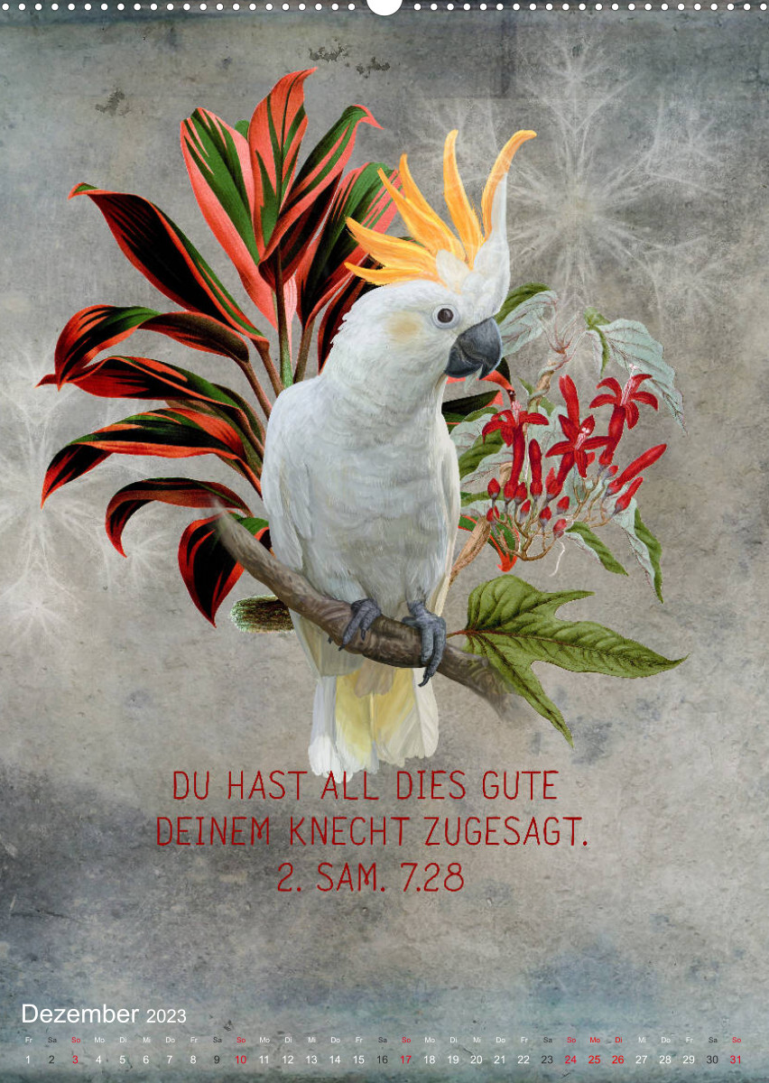 Bibelworte für Vogelfreunde (Wandkalender 2023 DIN A2 hoch)