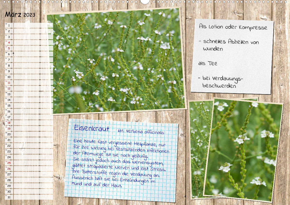 Heilpflanzen aus dem Garten (Wandkalender 2023 DIN A2 quer)