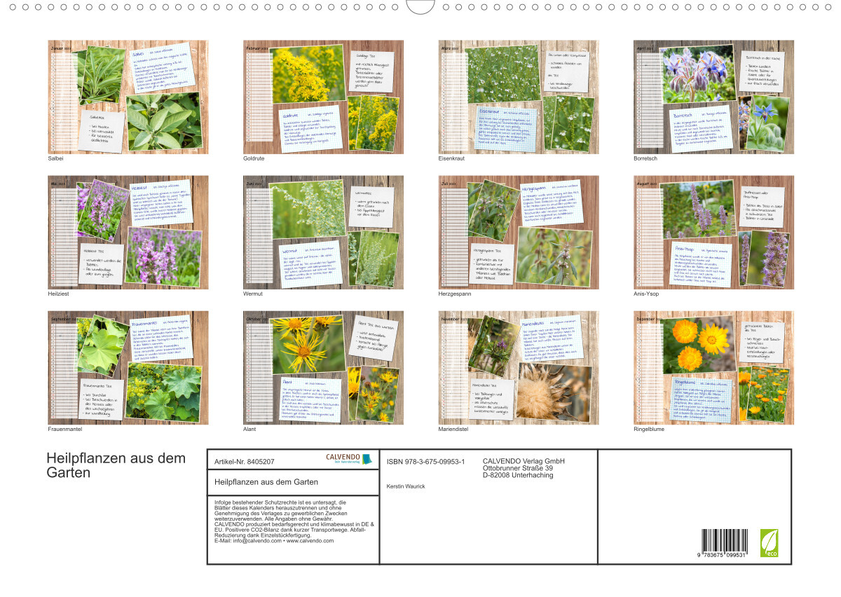 Heilpflanzen aus dem Garten (Wandkalender 2023 DIN A2 quer)
