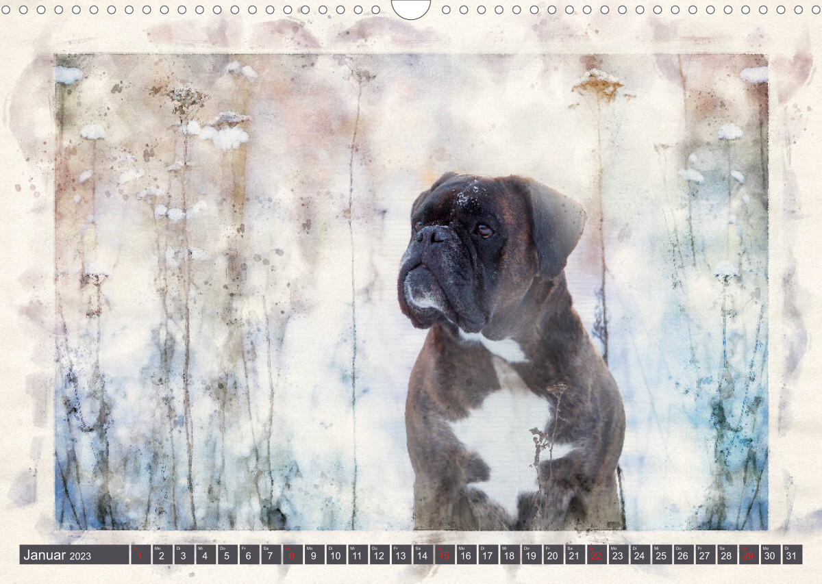 Boxer Photo&amp;Kunst (Wandkalender 2023 DIN A3 quer)