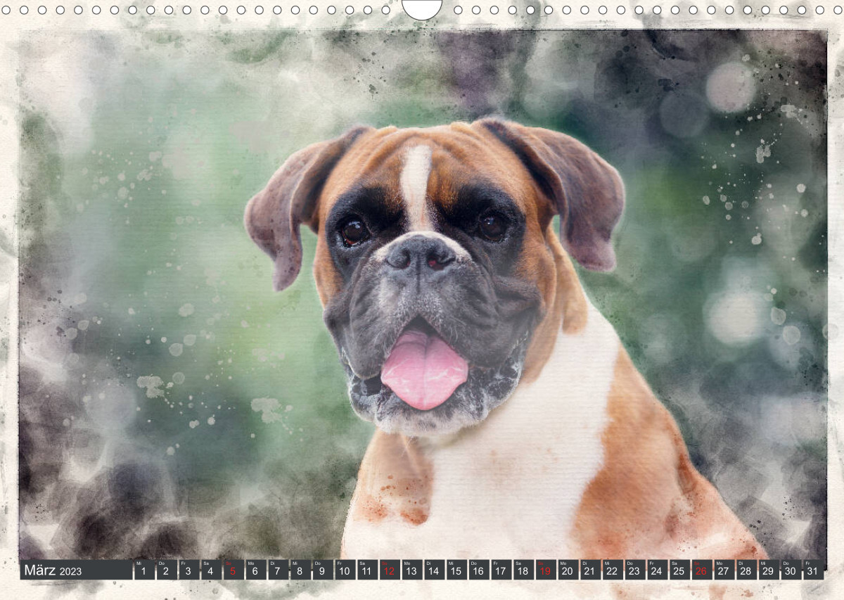 Boxer Photo&amp;Kunst (Wandkalender 2023 DIN A3 quer)