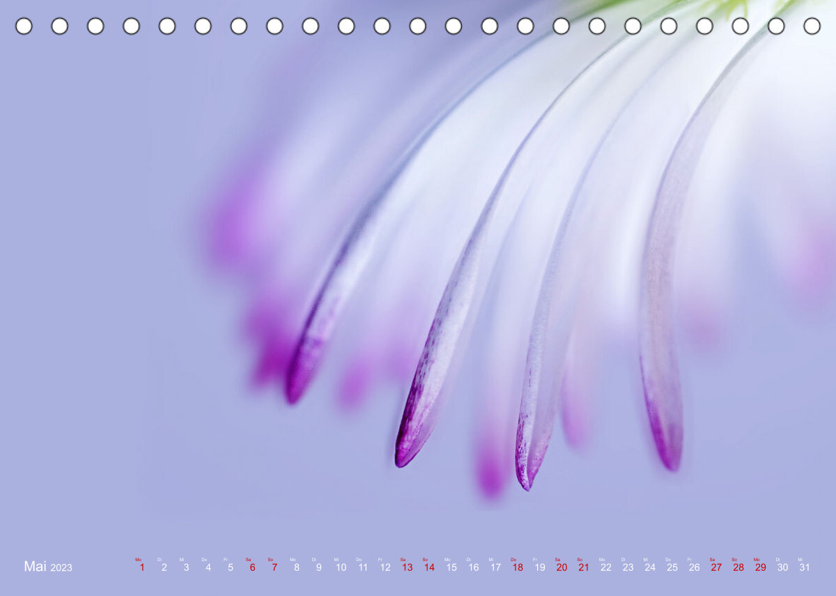 DEEP INSIDE - Blütenmakros (Tischkalender 2023 DIN A5 quer)