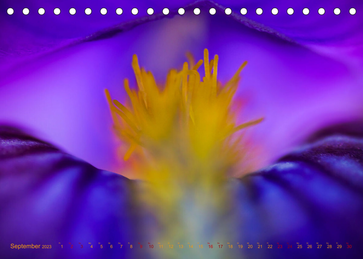 DEEP INSIDE - Blütenmakros (Tischkalender 2023 DIN A5 quer)