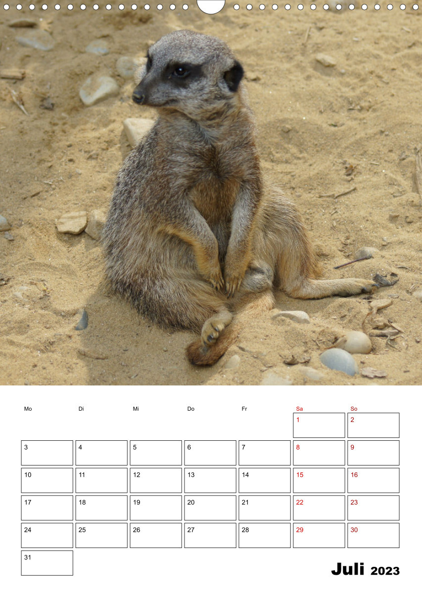 Niedliche Erdmännchen (Wandkalender 2023 DIN A3 hoch)