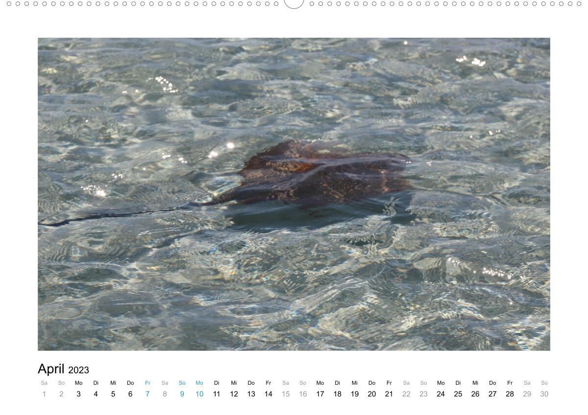 Traumziel Australien - Faszinierende Tierwelt 2023 (Wandkalender 2023 DIN A2 quer)
