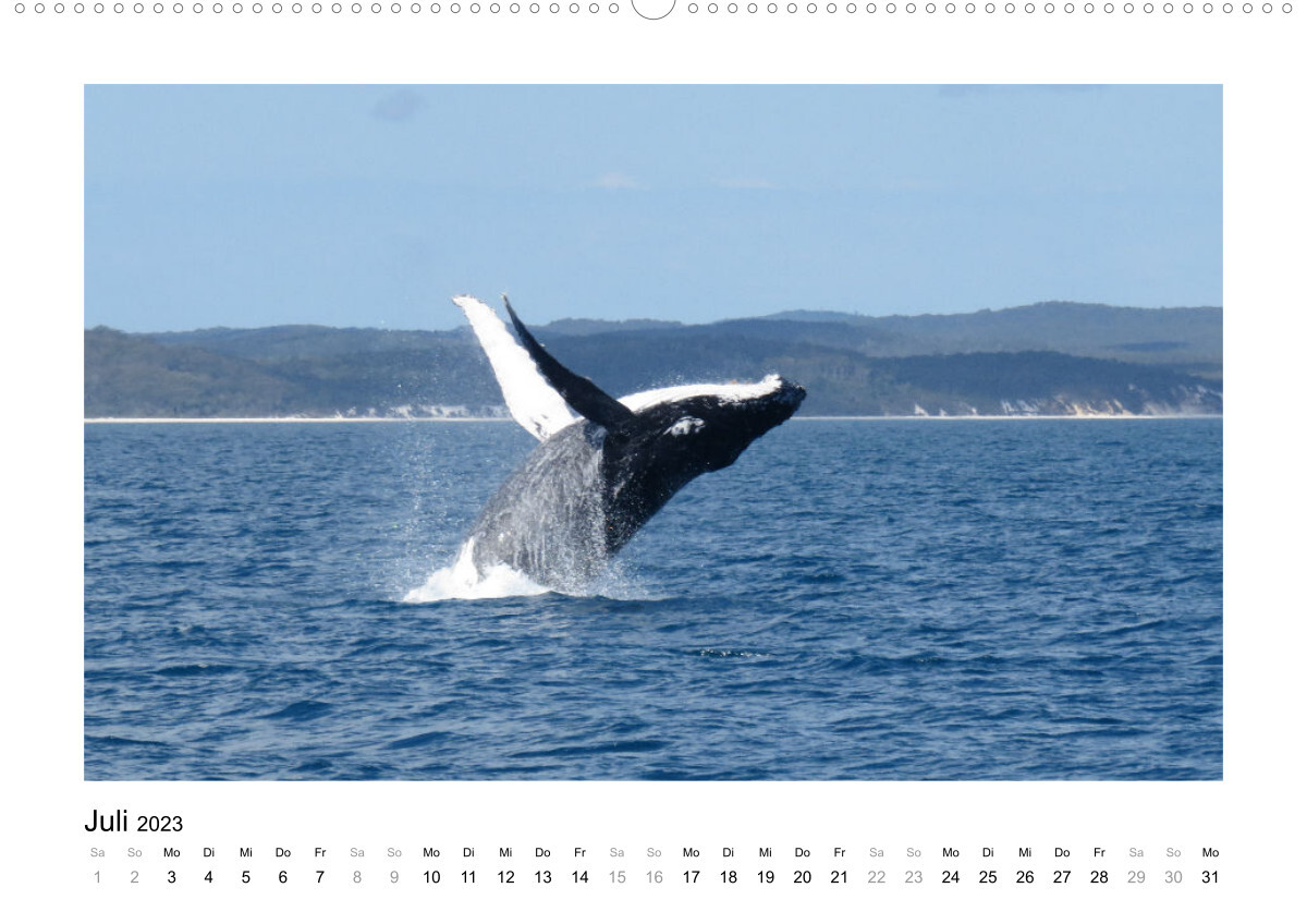 Traumziel Australien - Faszinierende Tierwelt 2023 (Wandkalender 2023 DIN A2 quer)